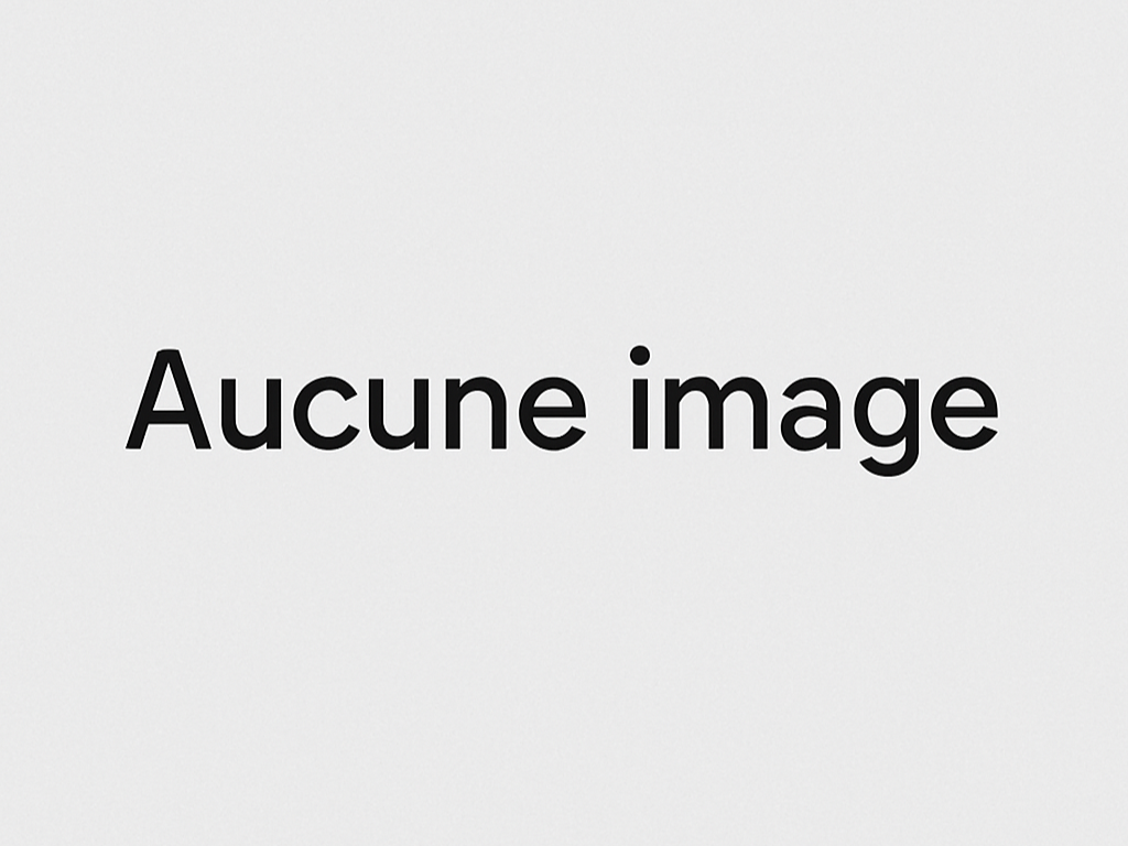 problème image de la galerie
